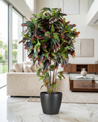 CROTON ARTIFICIAL PLANT IN A FIBER POT IN A LIVING ROOM 