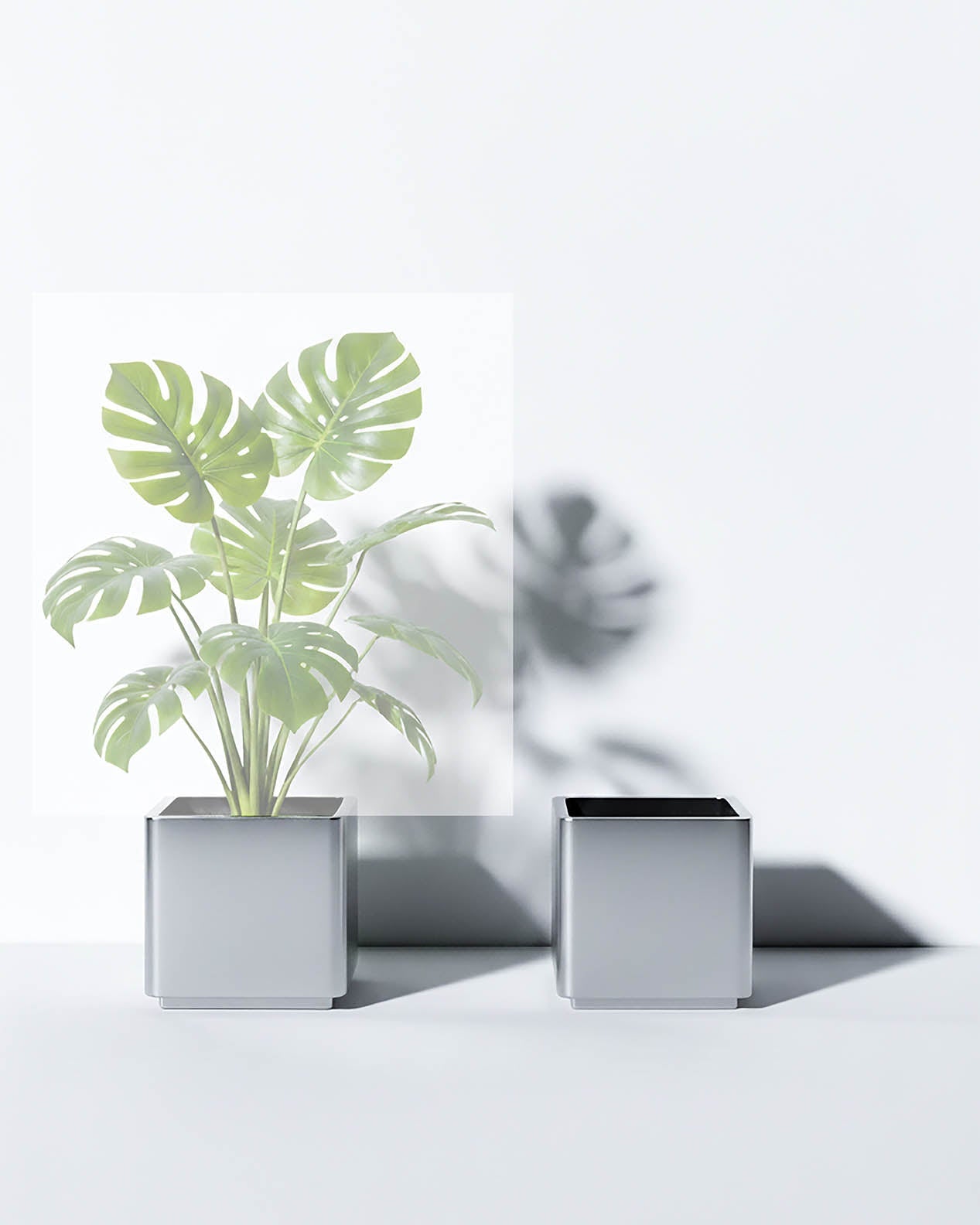 Prime Matt Silver Aluminium Pot Tree of Life Kuwait