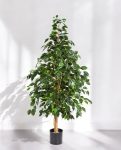 8FW32205N Natural Exotica Tree 150 (2)