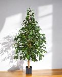 8FW32205N Natural Exotica Tree 150 (2)