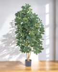 8FW38505N-Natural Schefflera 140 (3)