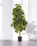 8FW38505N-Natural Schefflera 140 (3)