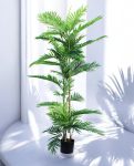 ARECA PALM 150cm AR150(a) (3)