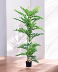 ARECA PALM 150cm AR150(a) (3)