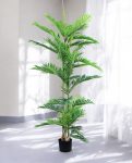 ARECA PALM 150cm AR150(a) (3)