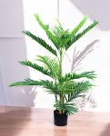 ARECA PALM 90cm AR90(b)