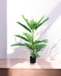 ARECA PALM 90cm AR90(b)