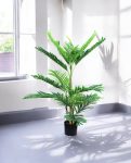 ARECA PALM 90cm AR90(b)