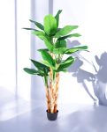 BANANA TREE (3 Trunk) 290cm CH10817737(d) (3)