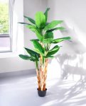 BANANA TREE (3 Trunk) 290cm CH10817737(d) (3)