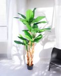 BANANA TREE (3 Trunk) 290cm CH10817737(d) (3)