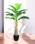 BOTTLE PALM 120cm CH10809084(a) (2)