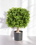 Buxus Square 45cm 8BUXUSS10 (3)