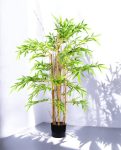 CHINESE BAMBOO 120cm 19543(a) (3)