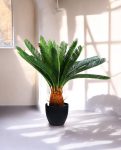 CYCAS (POTTED) 72cm CH9504157(a) (3)