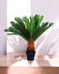 CYCAS (POTTED) 93cm CH9504158(c) (3)