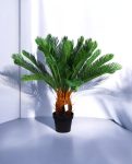 CYCAS (POTTED) 93cm CH9504158(c) (3)