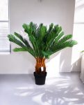 CYCAS (POTTED) 93cm CH9504158(c) (3)