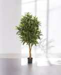 Croton Goldfinger Branched 155cm 8FW37405N (2)