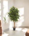 Croton Goldfinger Branched 155cm 8FW37405N (2)