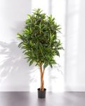 Croton Goldfinger Branched 155cm 8FW37405N (2)