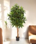 Croton Goldfinger Branched 155cm 8FW37405N (2)