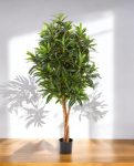 Croton Goldfinger Branched 155cm 8FW37405N (2)