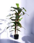 DRACAENA TREE 120cm 19521(b) (3)