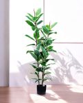 FICUS RUBBER VARIEGATA TREE 130cm 19344(c)(3)