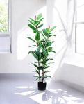 FICUS RUBBER VARIEGATA TREE 130cm 19344(c)(3)