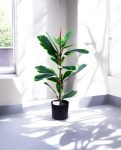 FICUS RUBBER VARIEGATA TREE 65cm 19339(b) (3)