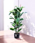 FICUS RUBBER VARIEGATA TREE 90cm 19342(b) (3)