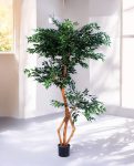 FICUS S-SHAPED 180cm 18203(b) (3)