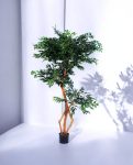 FICUS S-SHAPED 180cm 18203(b) (3)