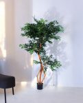 FICUS S-SHAPED 180cm 18203(b) (3)