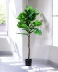 FIDDLE LEAF one 150cm 19511(a)