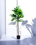 FIDDLE LEAF one 150cm 19511(a)