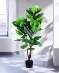 FIDDLE LEAF two 120cm 19583(b) (3)