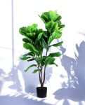 FIDDLE LEAF two 120cm 19583(b) (3)