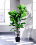 FIDDLE LEAF two 120cm 19583(b) (3)