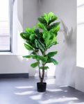 FIDDLE LEAF two 120cm 19583(b) (3)