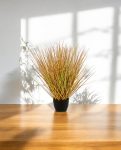 Fountain Autumn Grass 50cm 8FW93A050 (2)