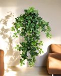 Green Ivy Hanging Bush 70cm 8FW01135N