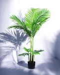 KENTIA PALM 110cm CH07817127(b) (3)