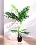 KENTIA PALM 110cm CH07817127(b) (3)