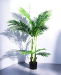 KENTIA PALM 110cm CH07817127(b) (3)