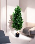 LAUREL TREE 120cm 18330(b) (3)