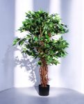 MINI FICUS 120cm 19348(a) (2)