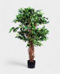 MINI FICUS 120cm 19348(a) (2)