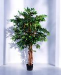 MINI FICUS 120cm 19348(a) (2)